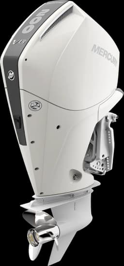 FourStroke 200 HP image 46
