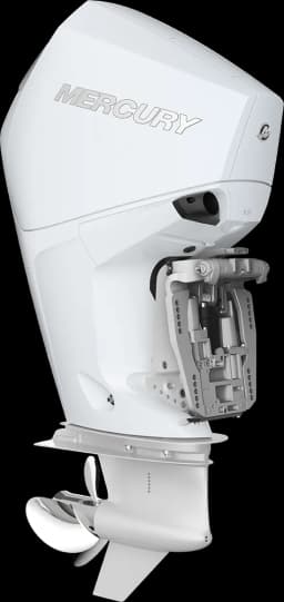 FourStroke 225 HP image 2