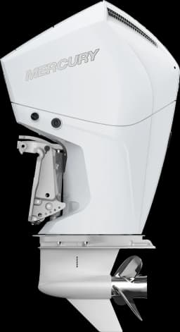 FourStroke 225 HP image 4