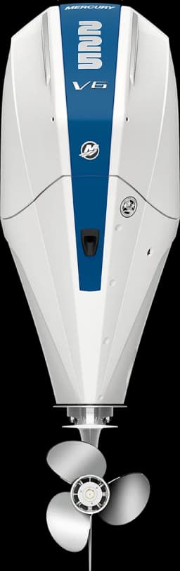 FourStroke 225 HP image 1