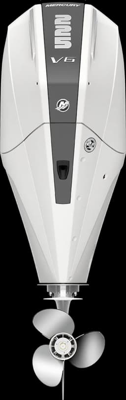 FourStroke 225 HP image 2