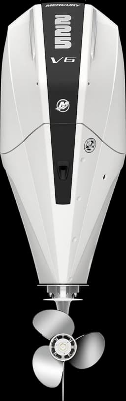 FourStroke 225 HP image 6