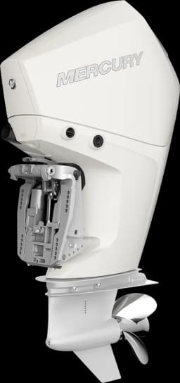 FourStroke 225 HP image 11