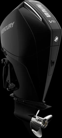 FourStroke 225 HP image 7