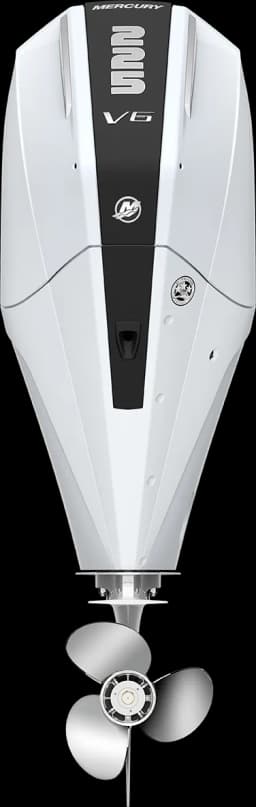 FourStroke 225 HP image 10