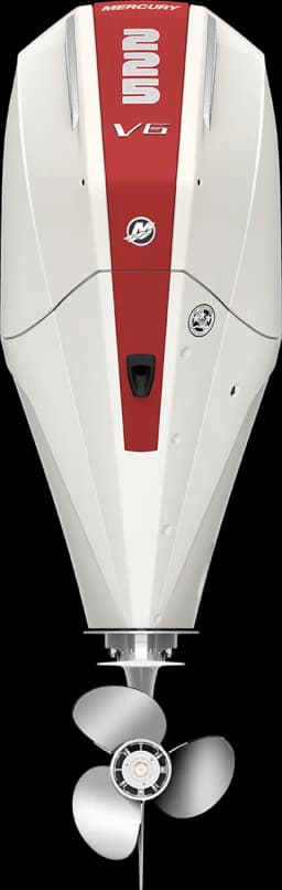 FourStroke 225 HP image 9