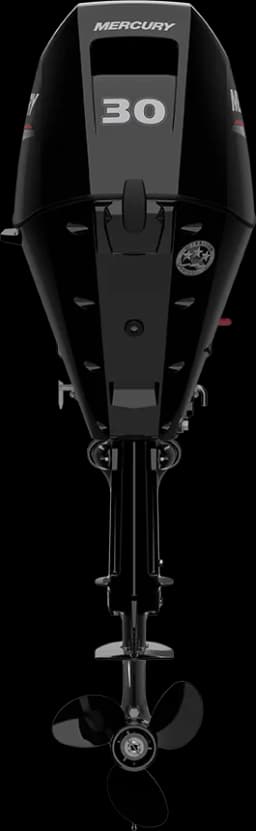 FourStroke 30 HP image 5