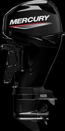 FourStroke 40 HP image 12