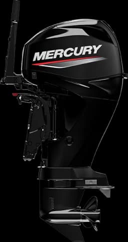 FourStroke 40 HP image 13