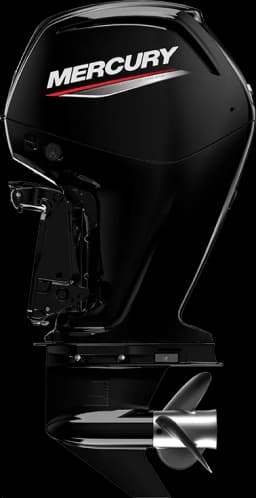 FourStroke 75 HP görsel 4