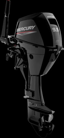 FourStroke 9.9 HP image 13