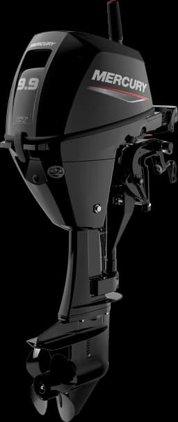 FourStroke 9.9 HP image 14
