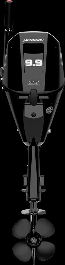 FourStroke 9.9 HP image 15