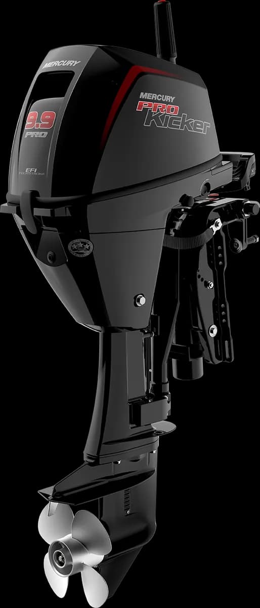 Mercury FourStroke 9.9 HP