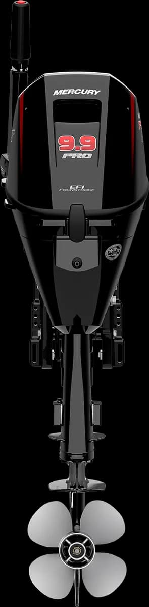 Mercury FourStroke 9.9 HP
