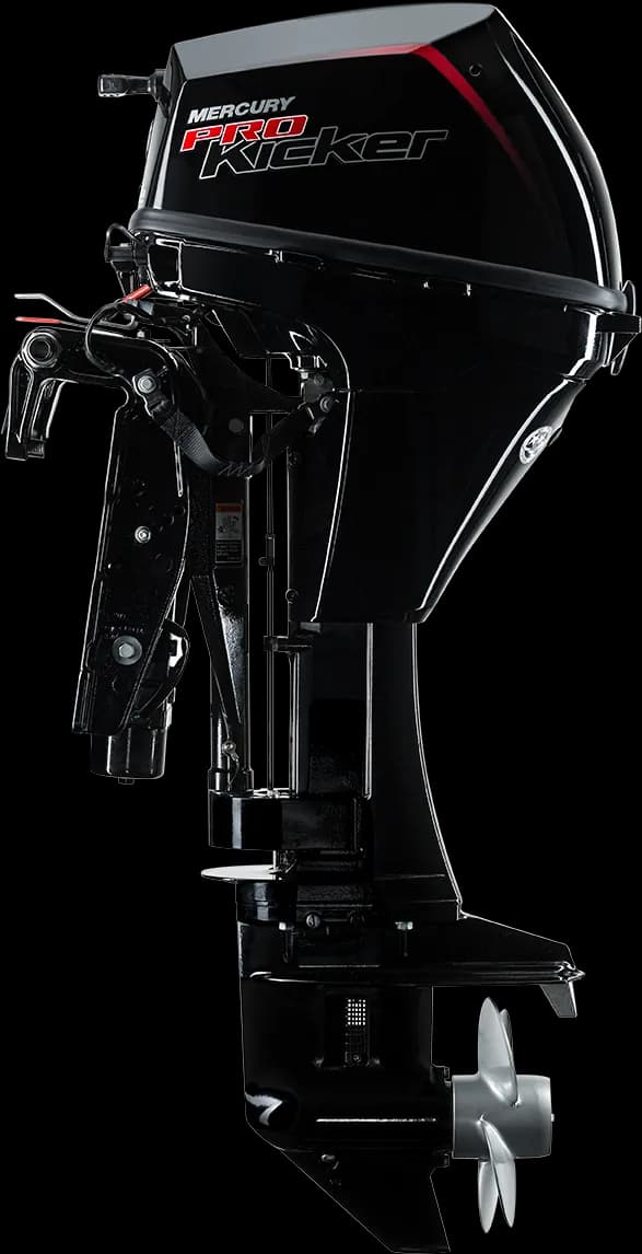 Mercury FourStroke 9.9 HP