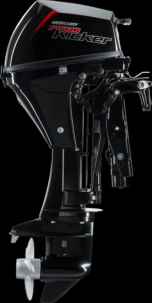 Mercury FourStroke 9.9 HP