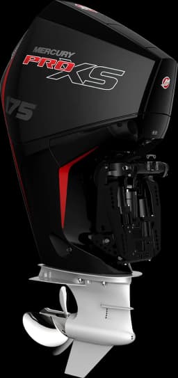 Pro XS 175 HP görsel 5