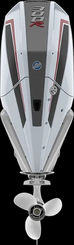 Racing 300 R HP image 3