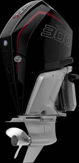 Racing 300 R HP image 6