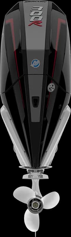 Racing 300 R HP image 7