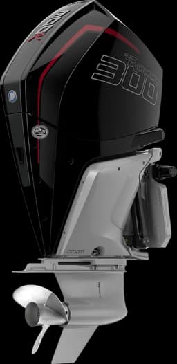 Racing 300 R HP image 9