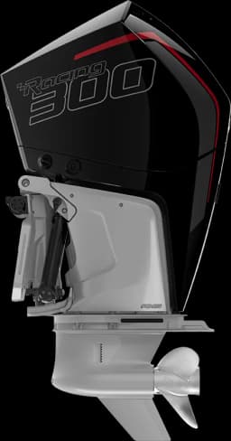 Racing 300 R HP image 10