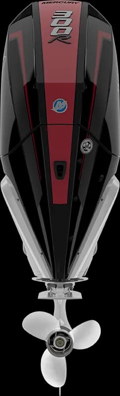 Racing 300 R HP image 11