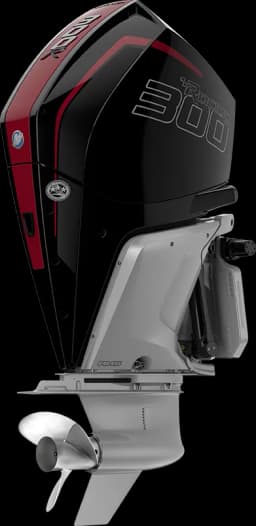 Racing 300 R HP image 13