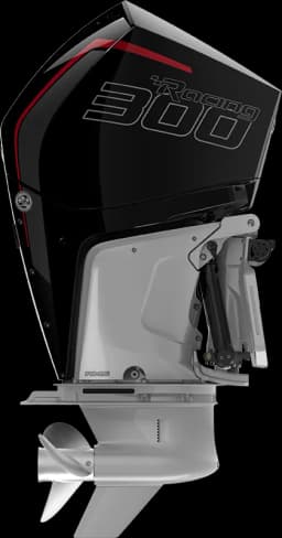 Racing 300 R HP image 14