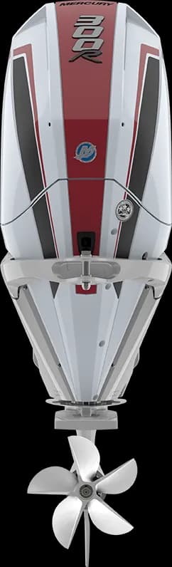 Racing 300 R HP image 5