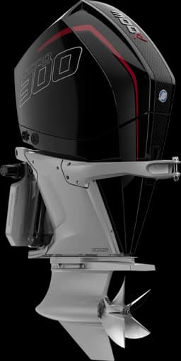 Racing 300 R HP image 17