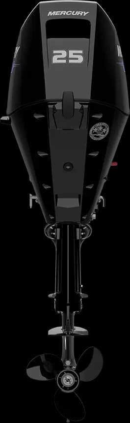 Mercury SeaPro 25 HP