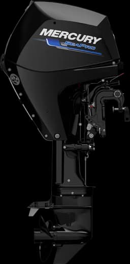 SeaPro 25 HP image 7