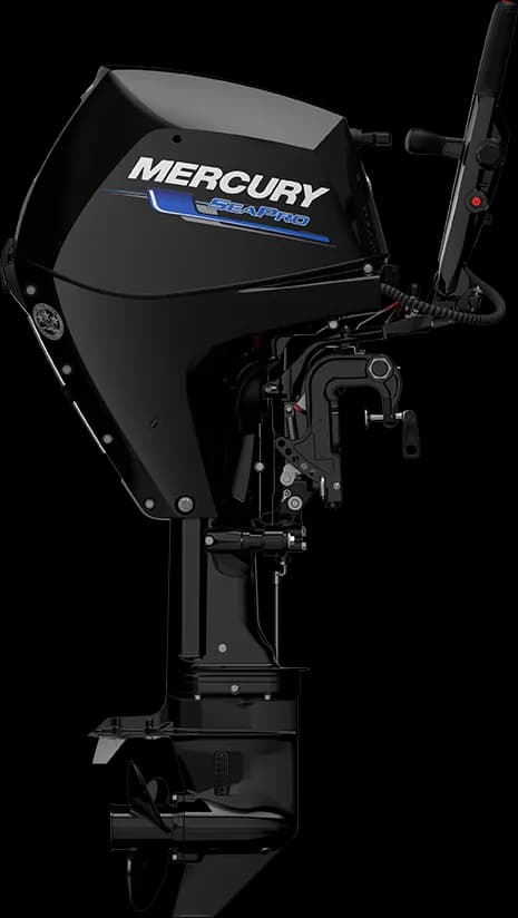 Mercury SeaPro 25 HP