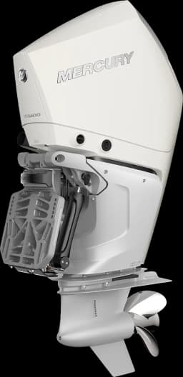 Verado 250 HP görsel 6