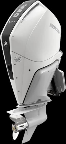 Verado 250 HP görsel 59