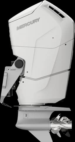 Verado 600 HP image 34