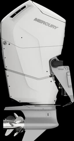 Verado 600 HP image 38
