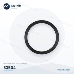 O-Ring